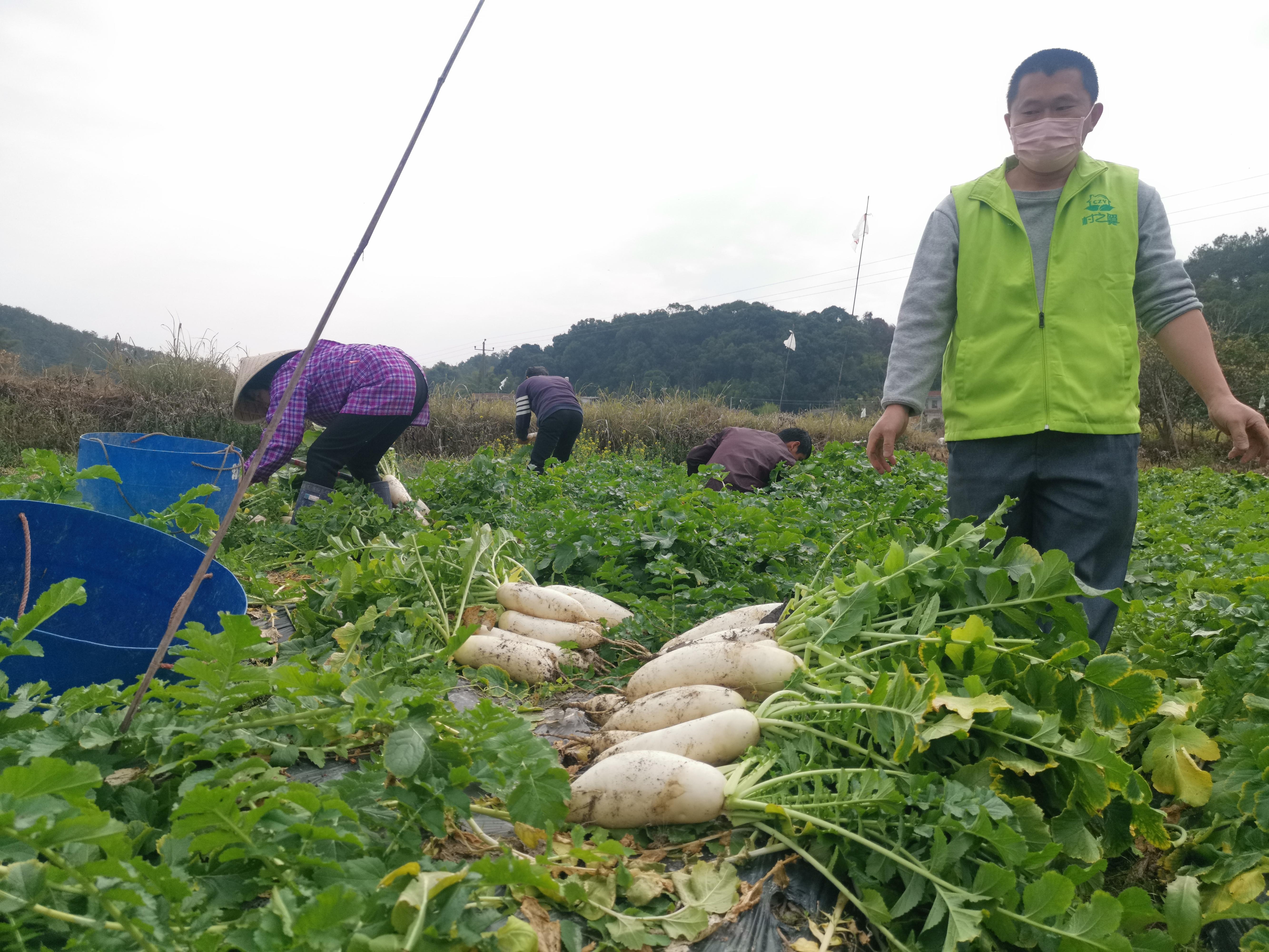 邮政在线下单，新时代邮政服务的便捷体验